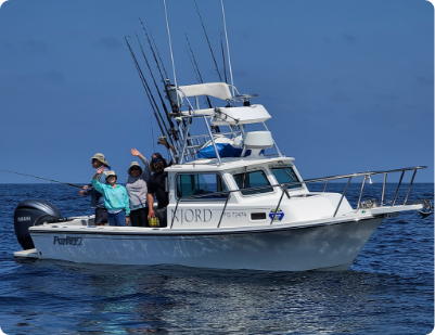 Deep Sea Private Sport Fishing Charters Dana Point CA - Left Coast